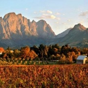 Vinícola em Franschhoek