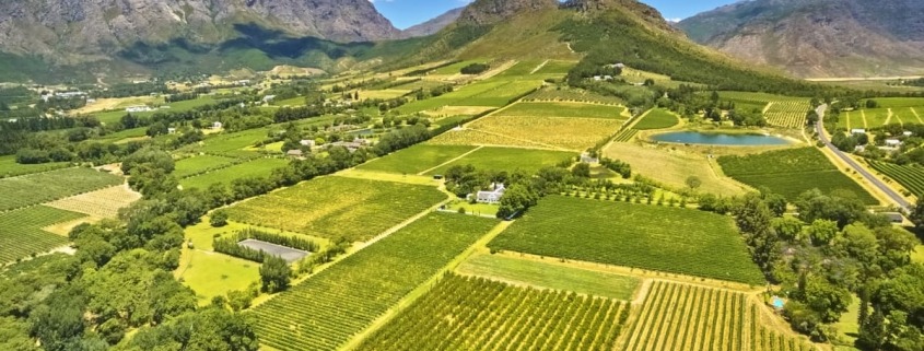 Vinícola em Stellenbosch